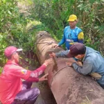 Hidrocaribe corrigió averías en el alimentador Zona Industrial en Cumaná